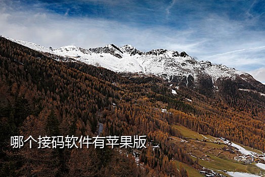 手机号接码平台源码
