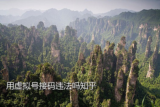 手机号接码平台app