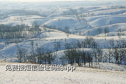 接验证码注册微信