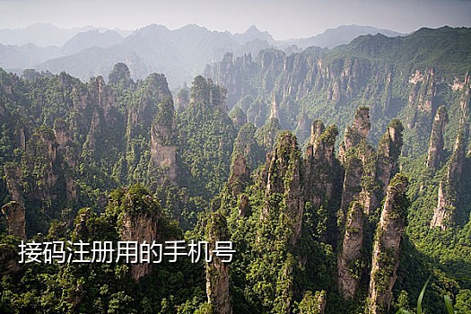 手机号接不到验证码了怎么解决