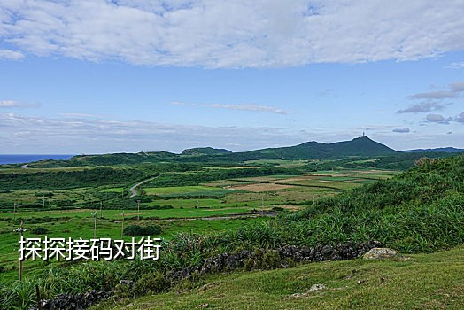 接码软件发的短信