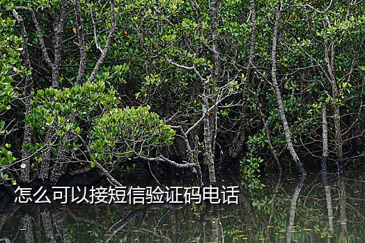 接码平台可以接微信绑定吗