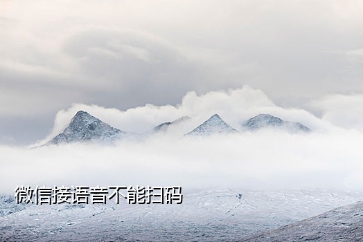 接码平台可以接淘宝的