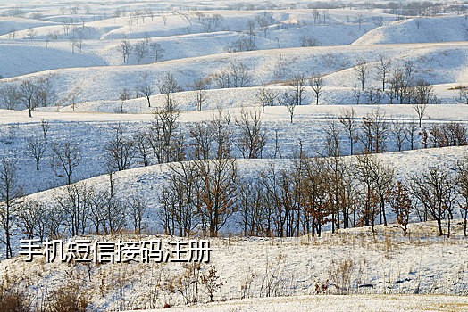 接码平台换绑微信