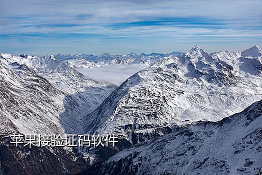 接码平台短信接不了