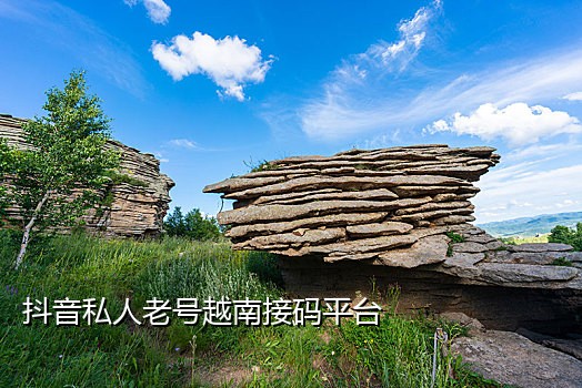接码平台都是用过的手机号