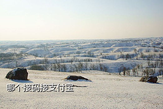 接码卡可以注册淘宝吗