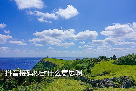 接码的手机好用不了