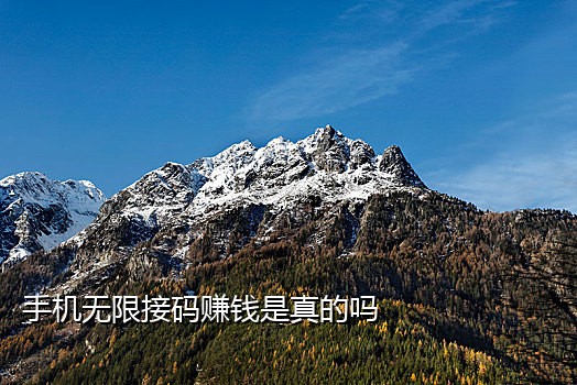 接不到苹果发的验证码