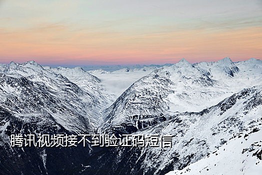 极码接码最新版手机版