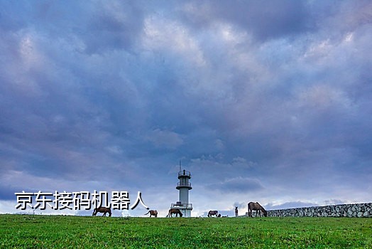 极码接码手机版