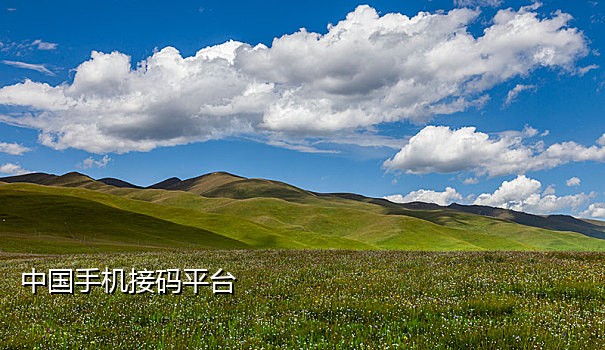 获取指定的手机号接码