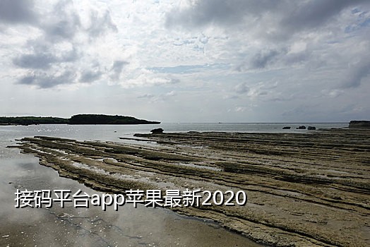 号码出租手机接码平台