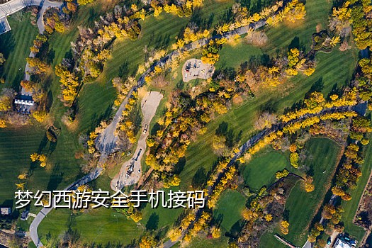 国外手机号接码注册