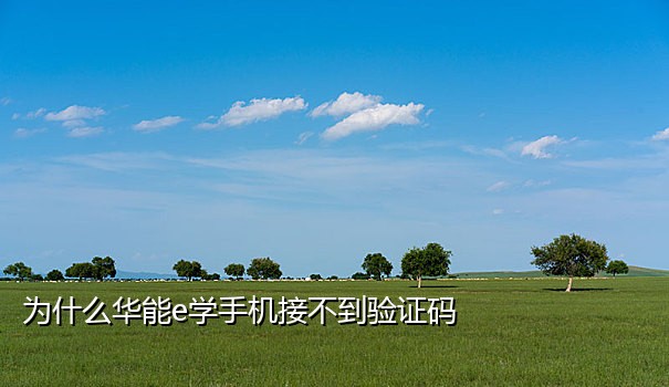 国内在线短信验证码接码
