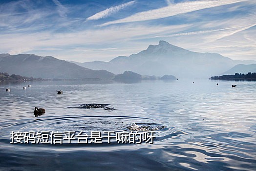 实名认证手机号接码平台