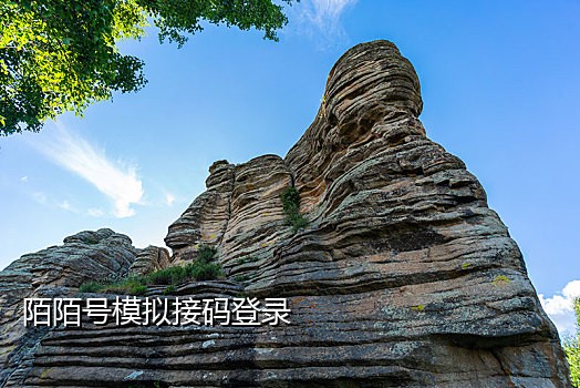 短信接码验证手机安卓app