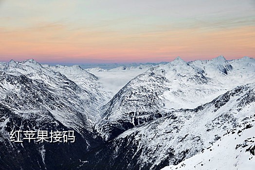 短信接码软件app大全