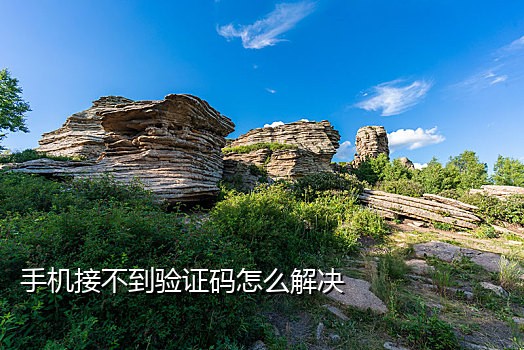 短信接不到验证码怎么办