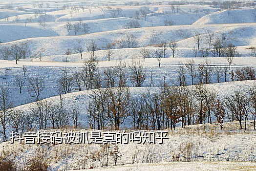 抖音首次实卡接码渠道