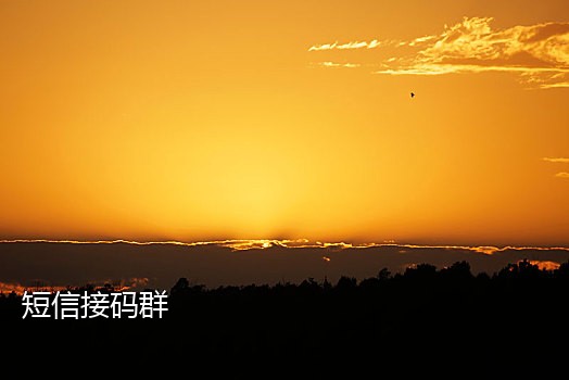 抖音接码挣钱是真的吗