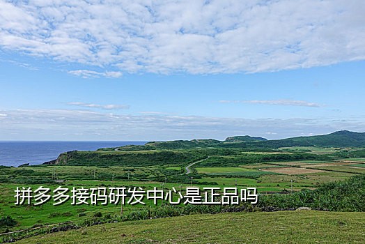 抖音接码卡商交流群