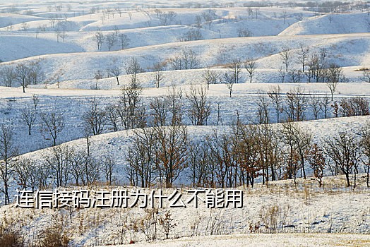 神话短信接码平台官网