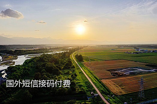 从事短信接码平台犯罪判决