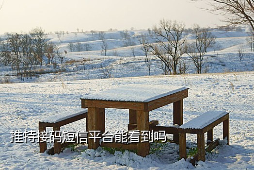 出国手机怎么接验证码