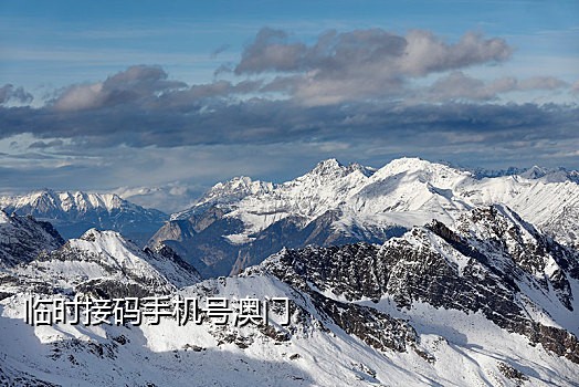 暴雪手机接码