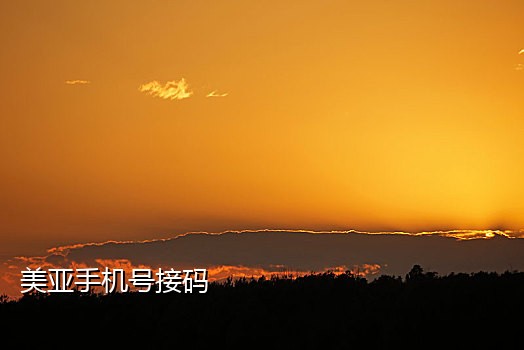 百色市京东接码