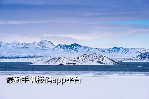 爱奇艺优酷接码群