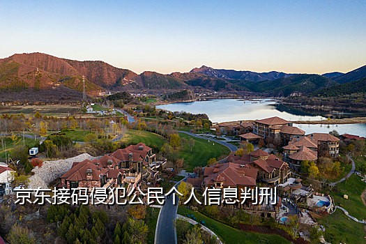 闪电云短信接码