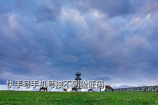 2022最新免费短信接码