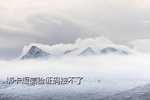 2019淘宝拉新接码平台