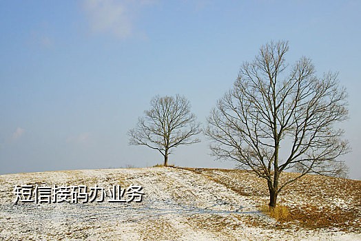 自动接码注册微信平台