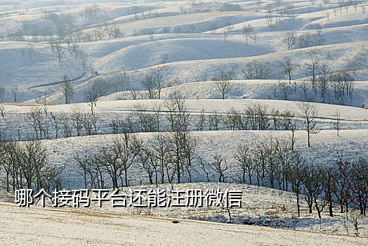 注册微博接验证码软件下载