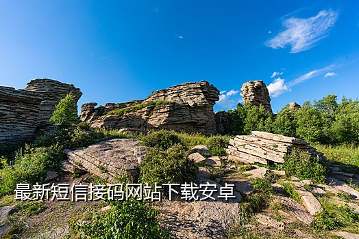 注册淘宝账号接码平台
