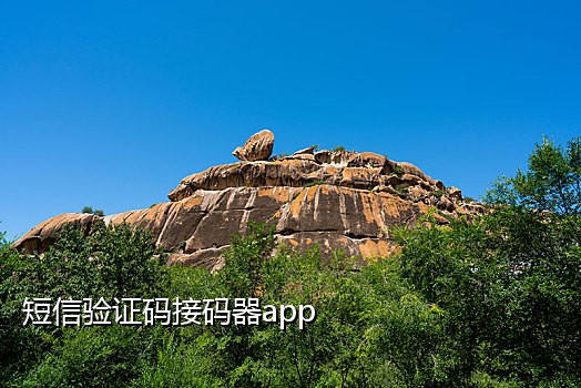 朱雀接码手机端