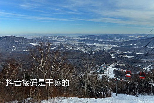 中国短信接码免费的吗