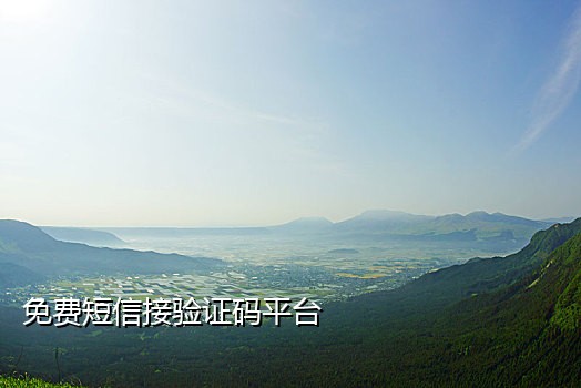 只接验证码手机号