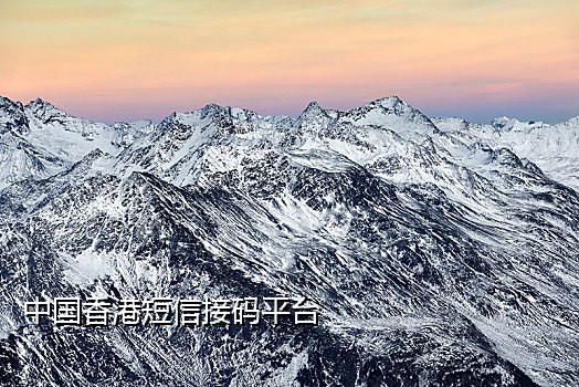 找码短信接码