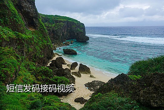 云短信在线接验证码