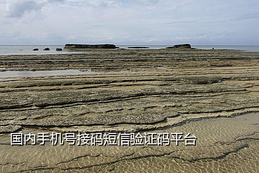 云短信平台接码