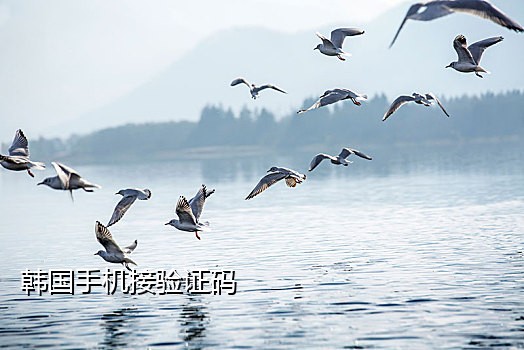 用接码平台的手机贷款