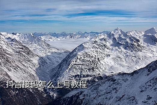 移动手机号接码软件