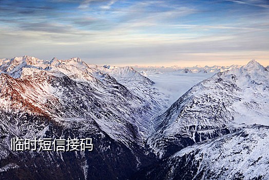 椰子云接码短信