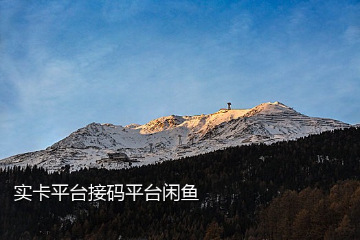 椰子接码短信验证码平台官网