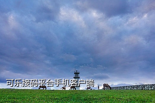 七猫小说接码器