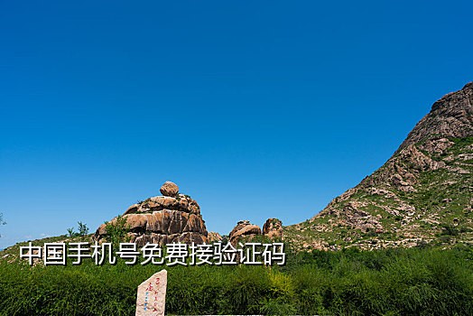 小红书美国接码号